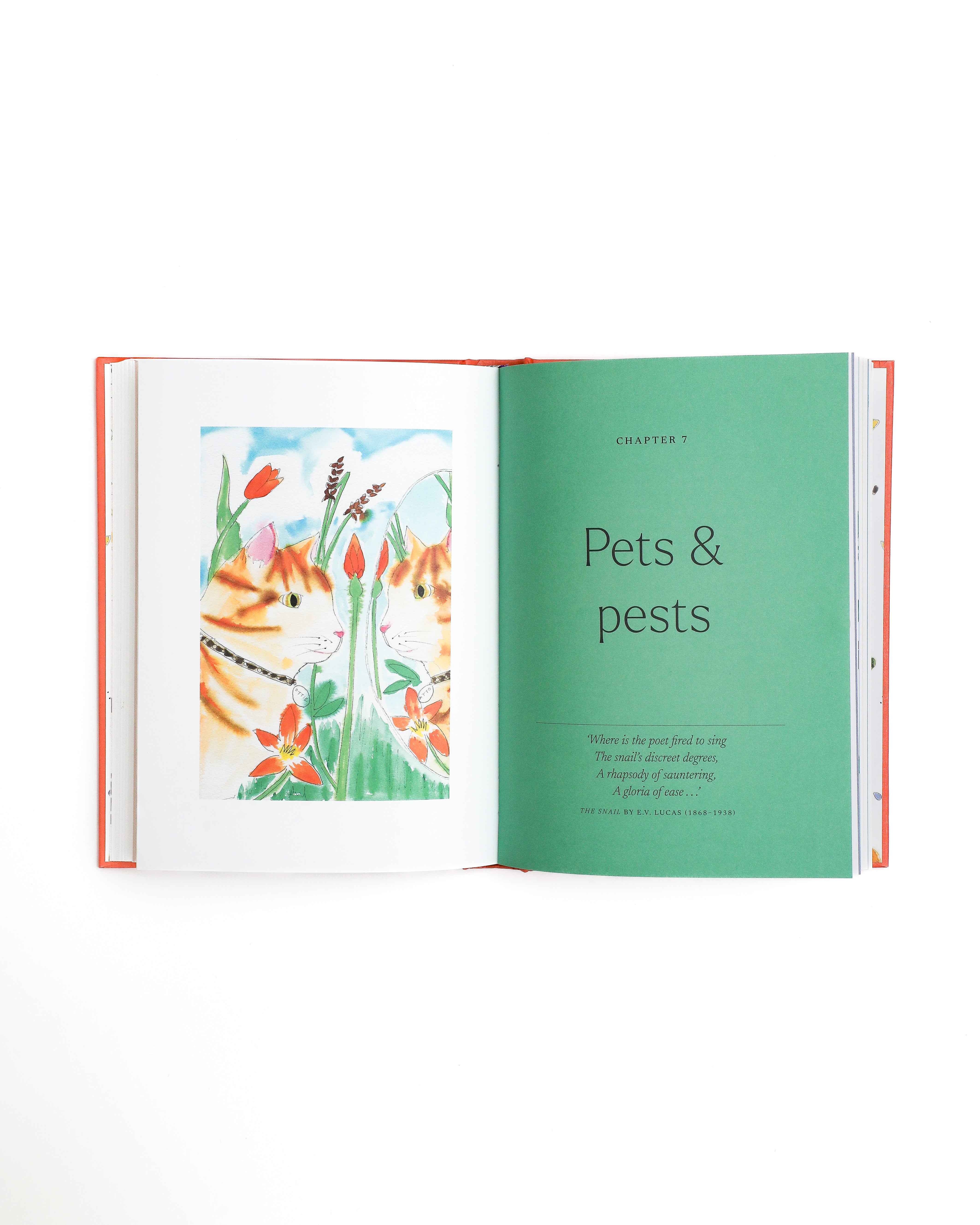 アンリ　ANRI サラケイ　大 FROM THE GARDEN Drawn to the Garden - Signed Hardback Book – CQ Gardens