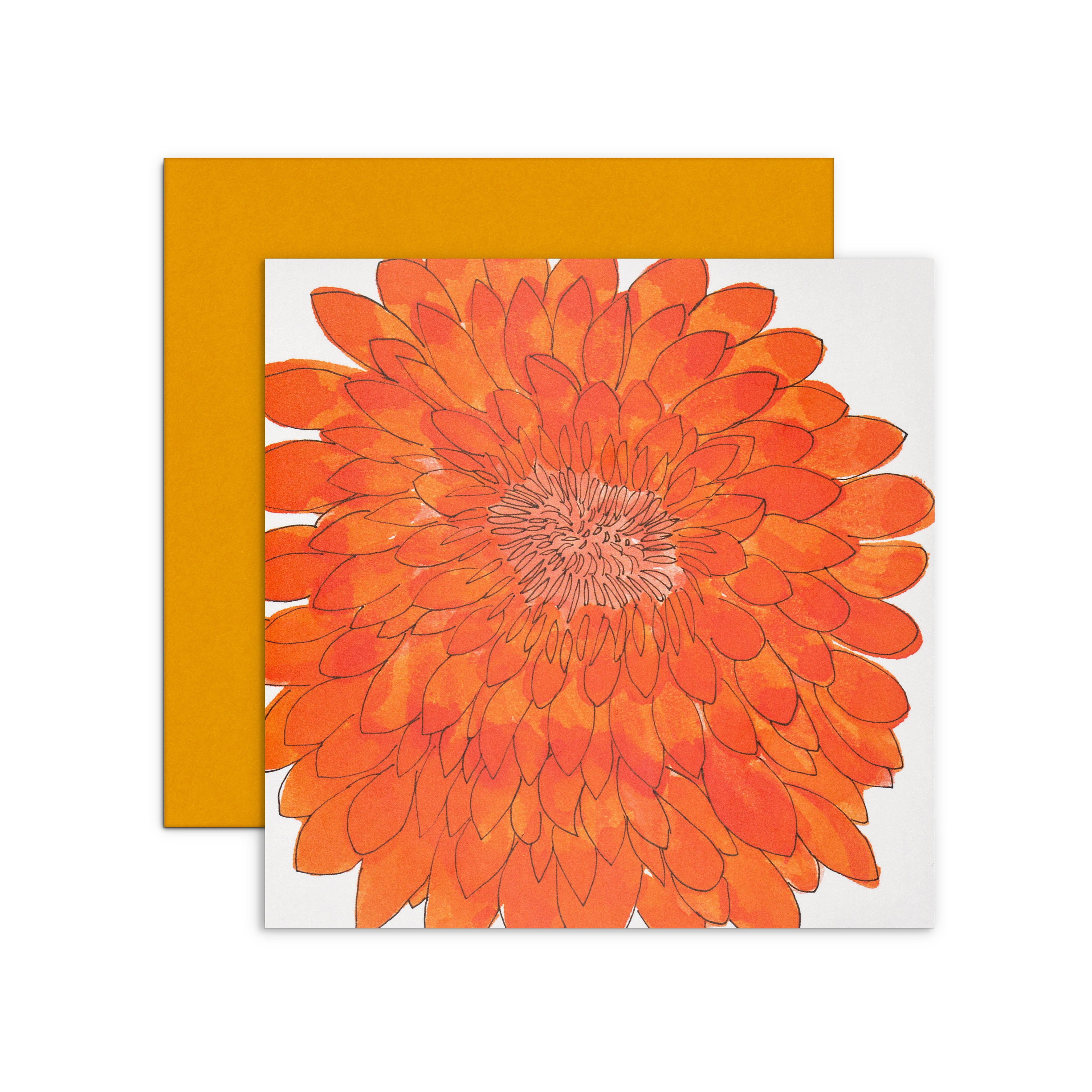 BoldOrange.jpg