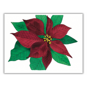 Christmas Greeting Cards