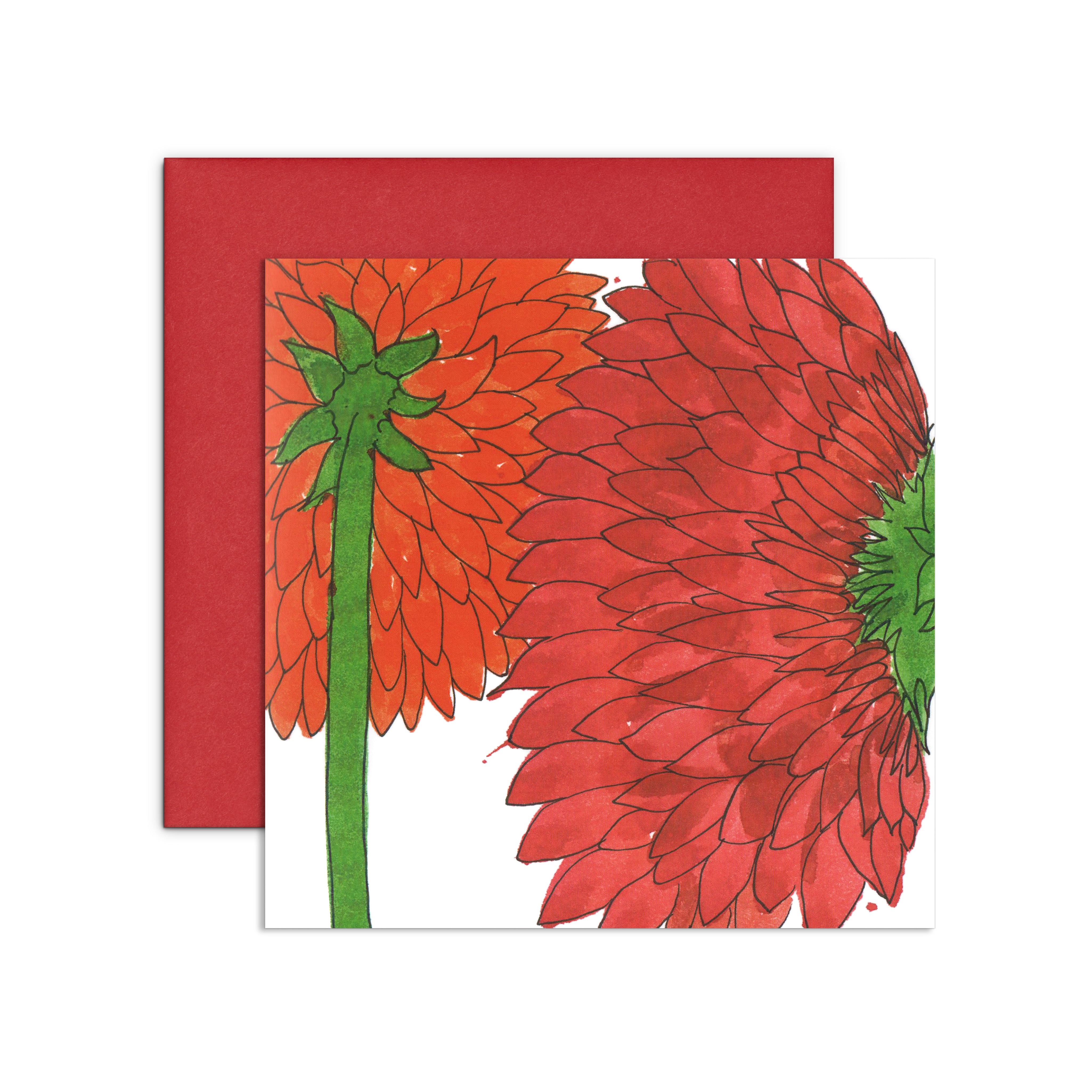 GossipingDahlias.jpg