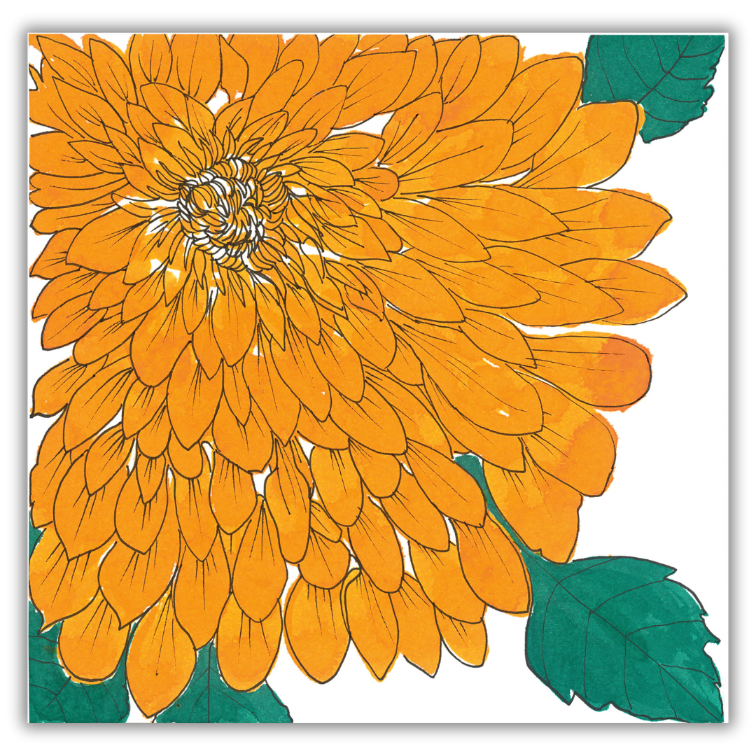 Dahlias Greeting Cards